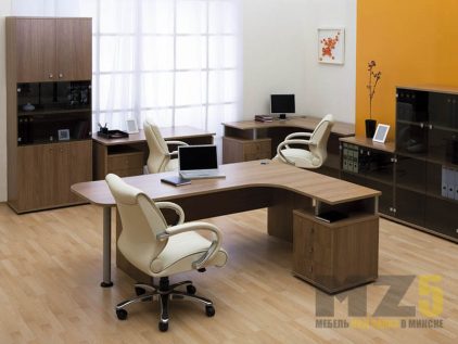 Набор офисной мебели из ДСП со стеллажом и распашным шкафом