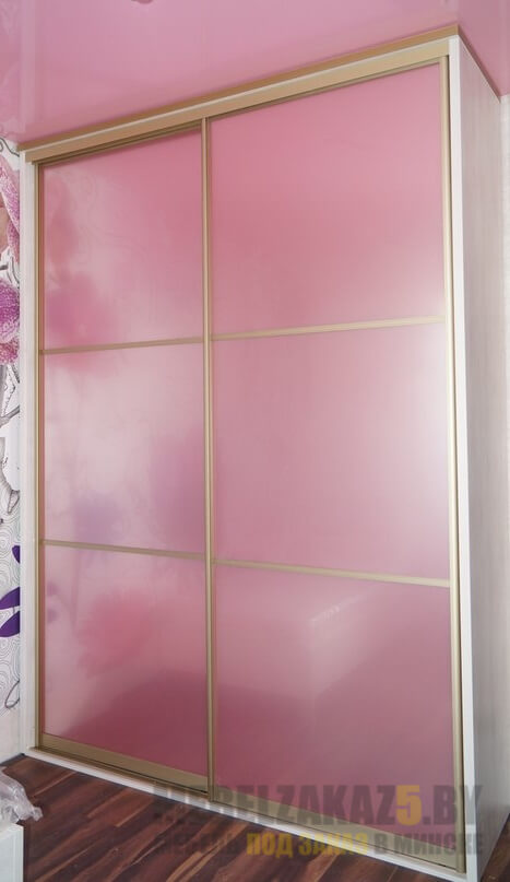 Двустворчатый шкаф-купе в детскую нежно-розового цвета